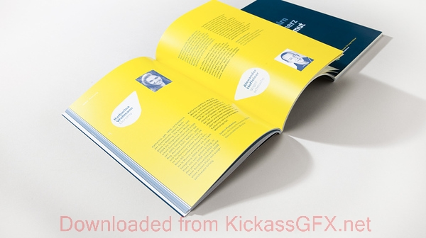 ip攻击器网页版ddos